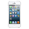 Apple iPhone 5 16Gb white - Бузулук