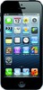 Apple iPhone 5 16GB - Бузулук