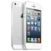 Apple iPhone 5 64Gb white - Бузулук